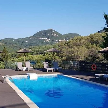 Diogenis Parga Studios Exterior photo