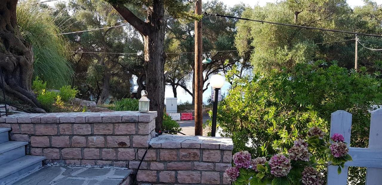 Diogenis Parga Studios Exterior photo