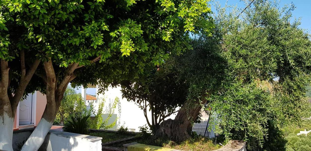 Diogenis Parga Studios Exterior photo