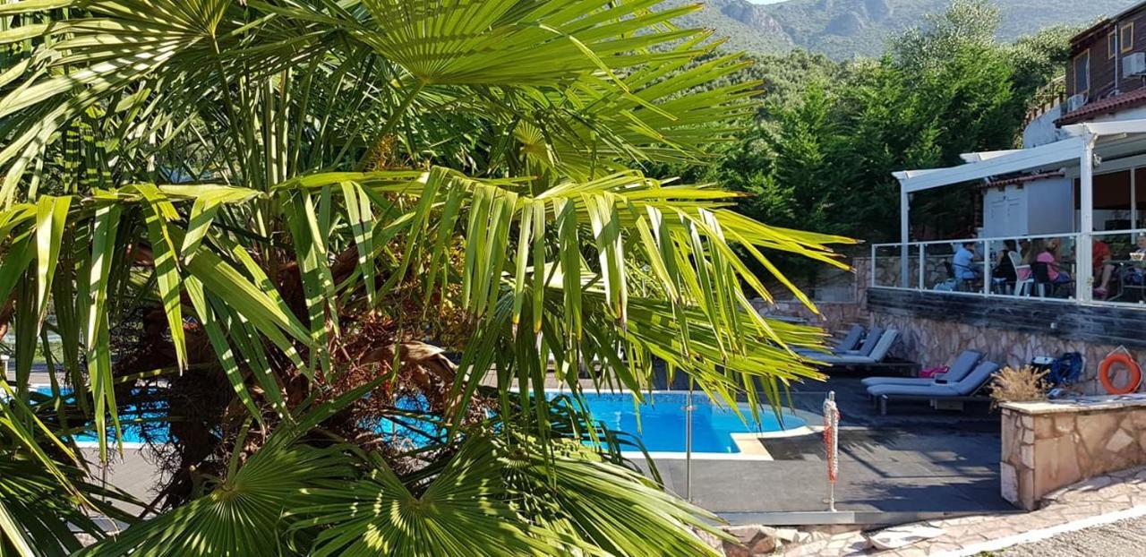Diogenis Parga Studios Exterior photo
