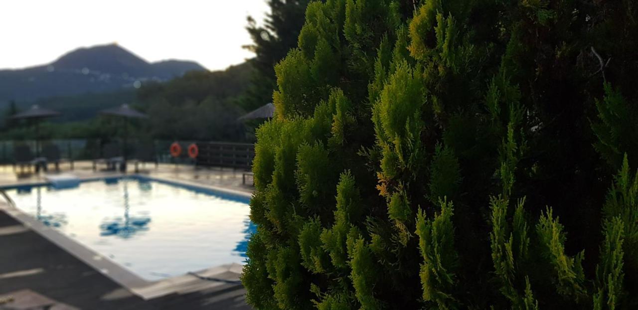 Diogenis Parga Studios Exterior photo